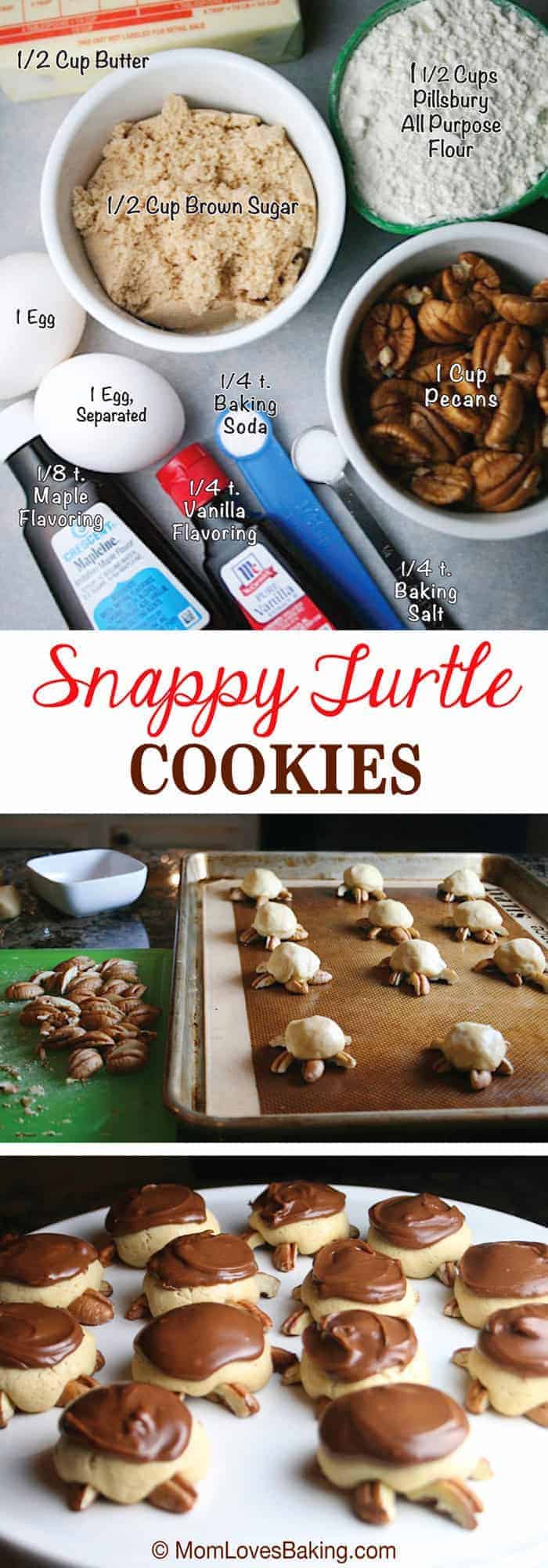 Snappy-Turtle-Cookies