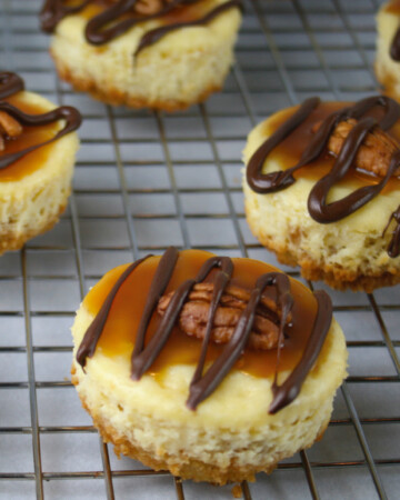 Mini waffle cheesecakes with caramel, chocolate and pecans on top.
