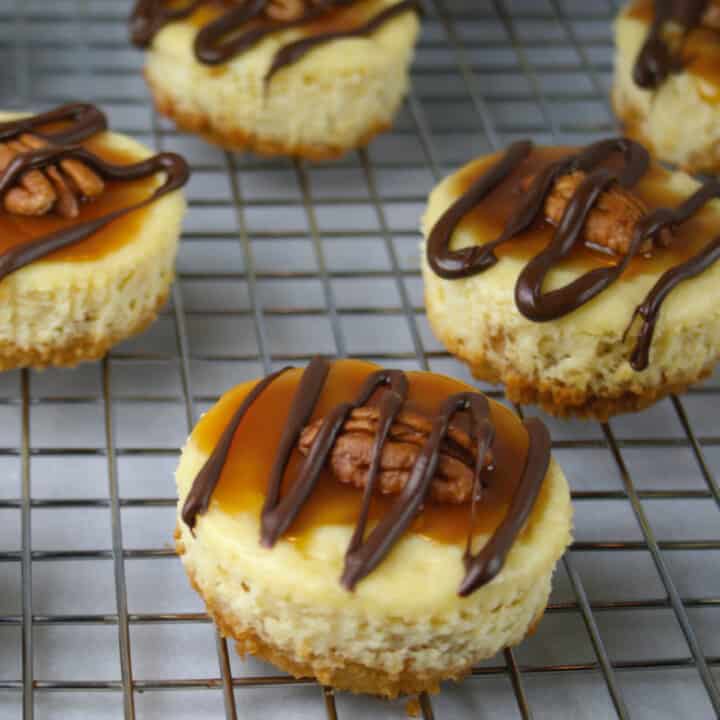 Mini waffle cheesecakes with caramel, chocolate and pecans on top.