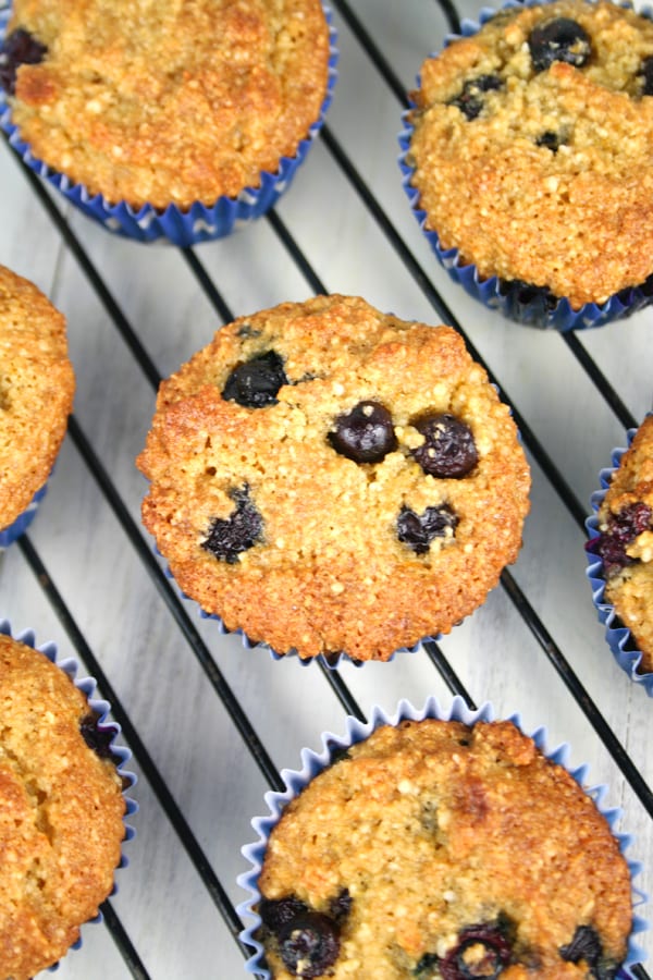 Paleo Orange Blueberry Gluten Free Muffins