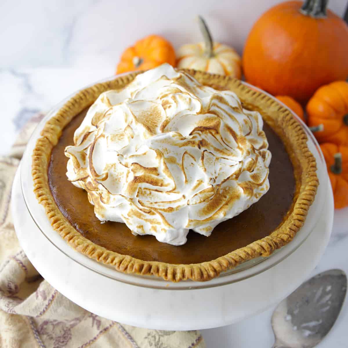 A whole pumpkin pie with toasted meringue on top, small pumpkins in background.