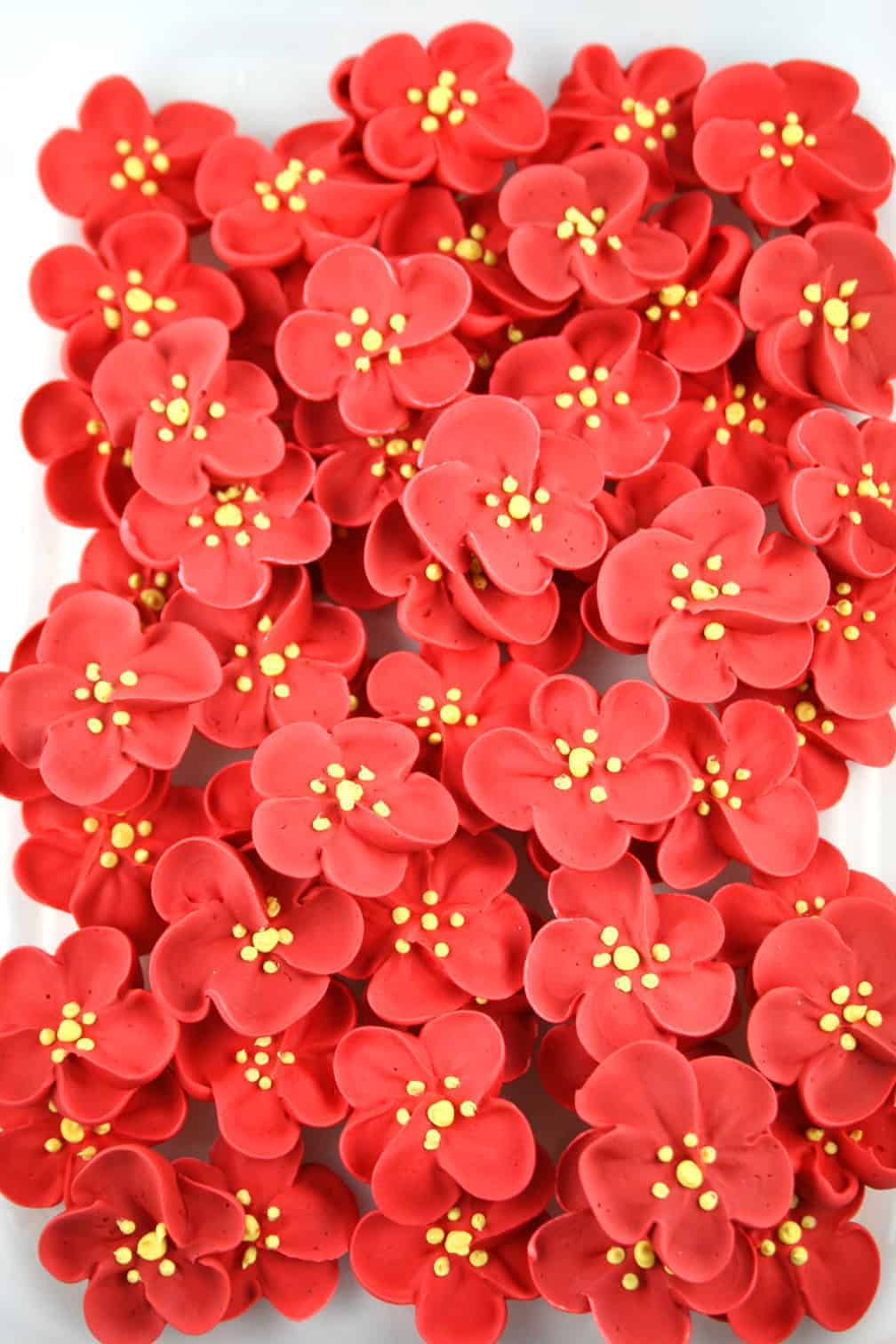 6_Flowers