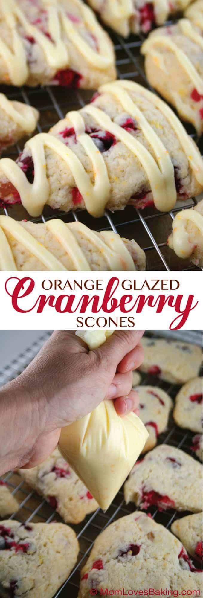 CRANBERRYsconesHand