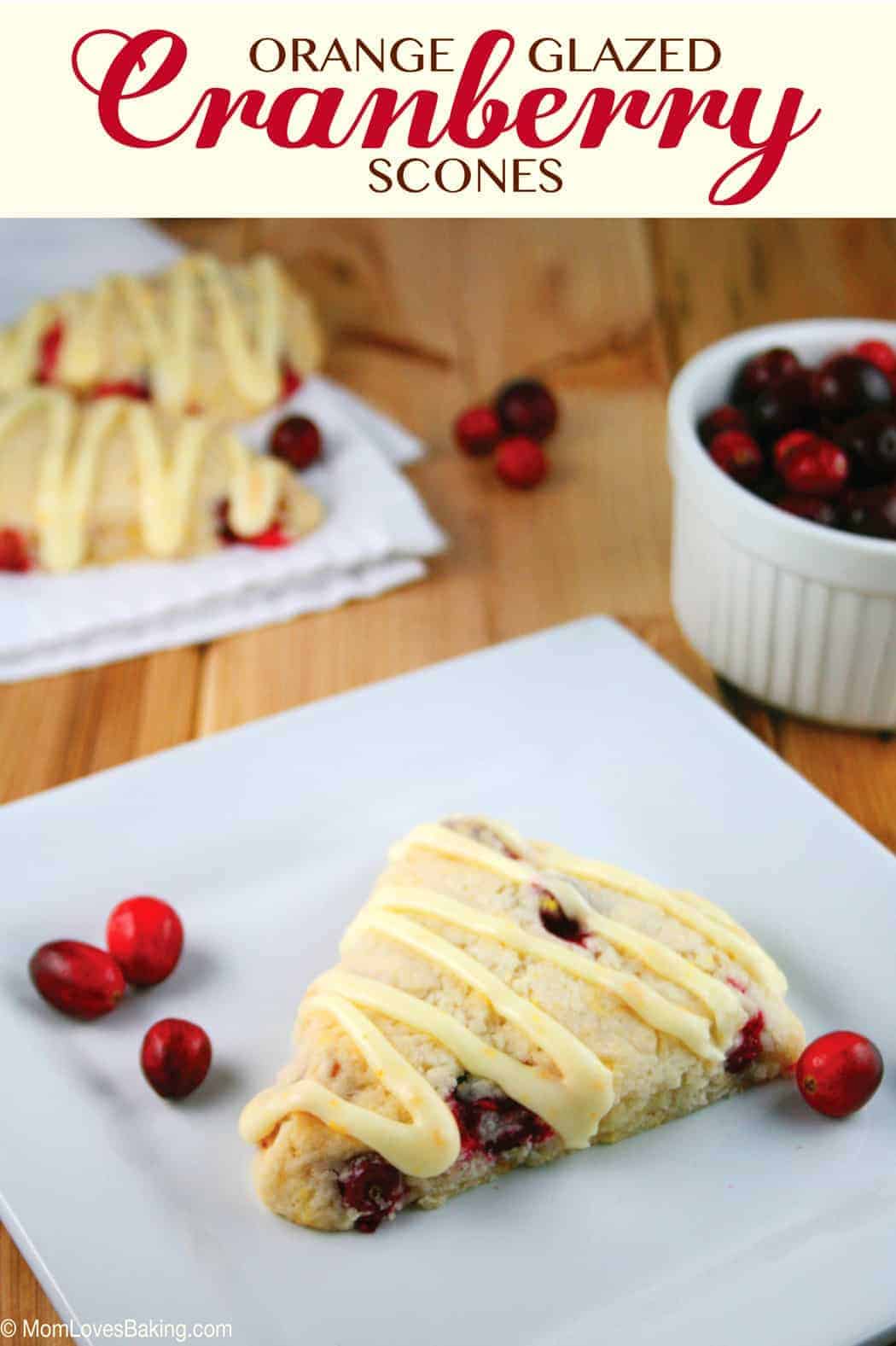 CranberrySconesTextCloseUp