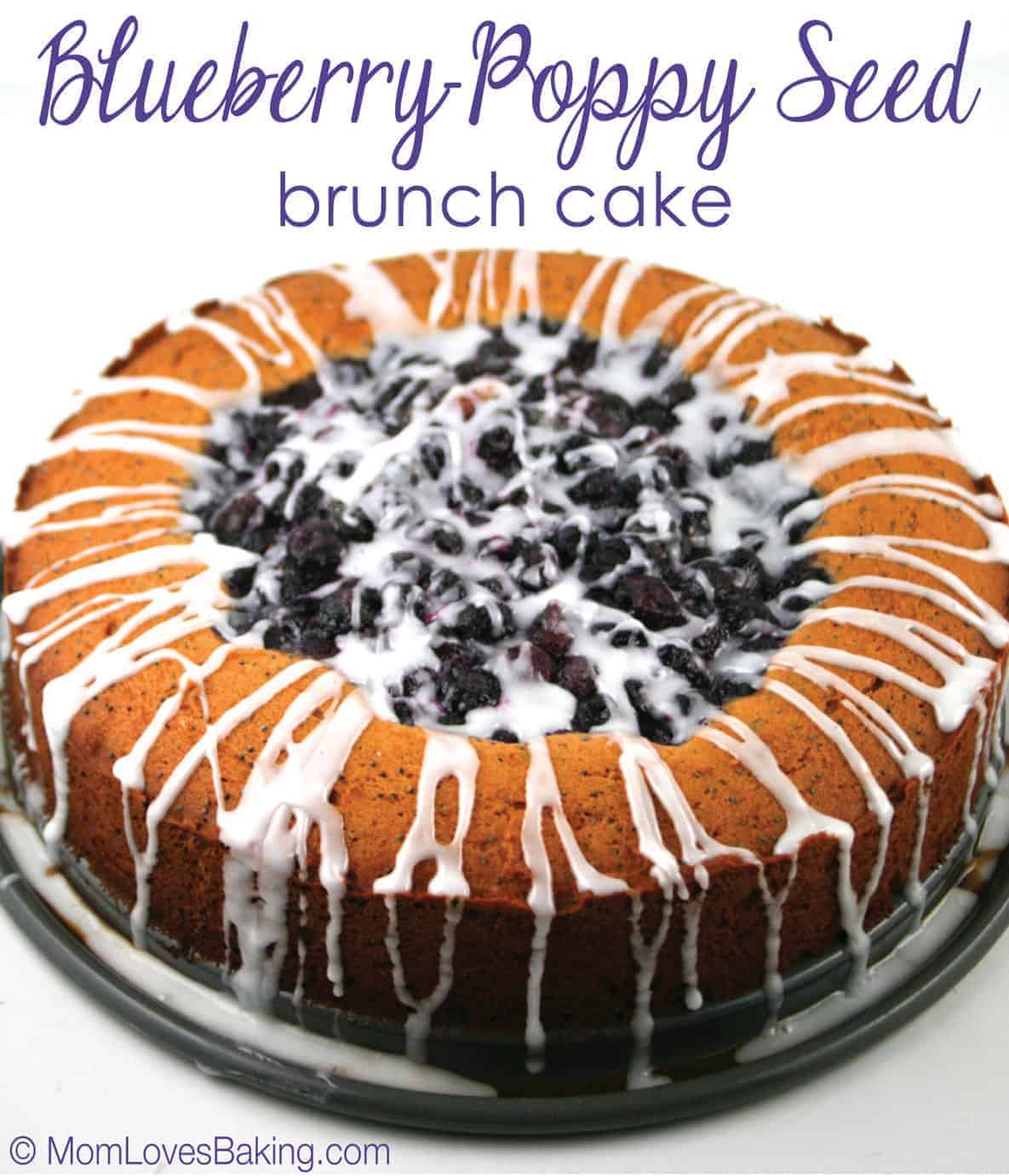 BluePoppyseed