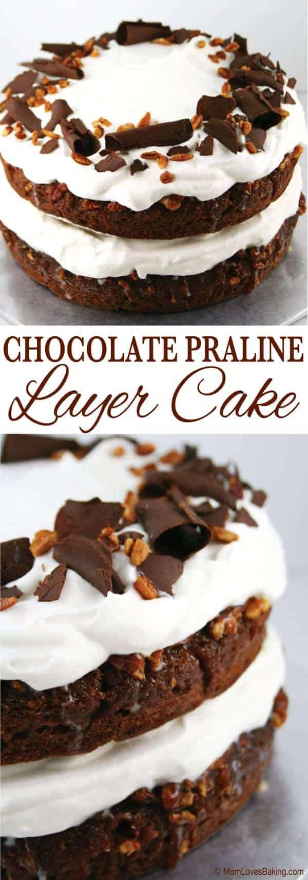 Chocolate Praline Cake