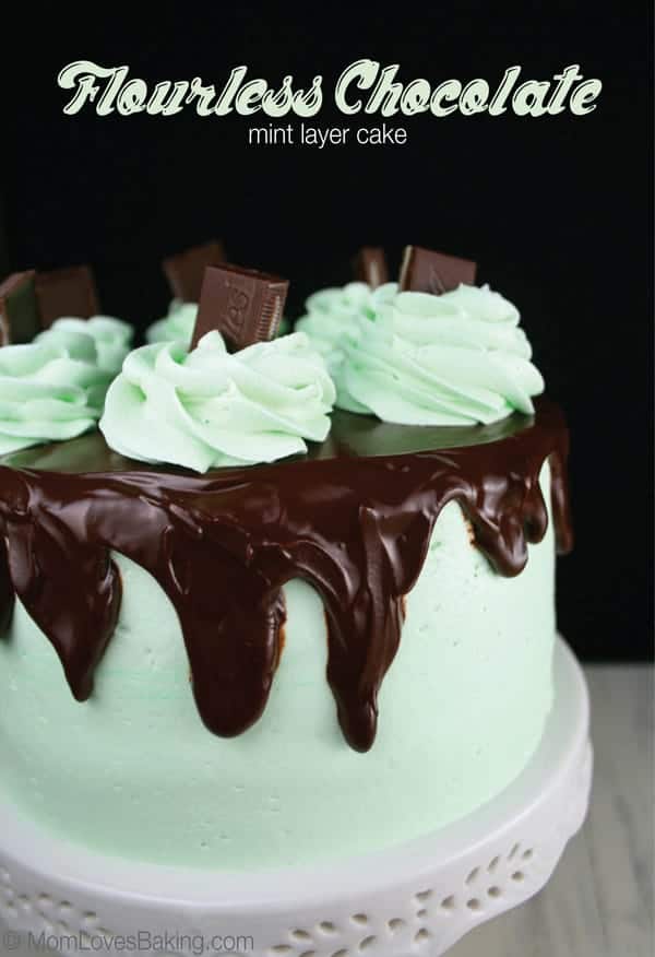 Flourless-Chocolate-Mint-Layer-Cake-1