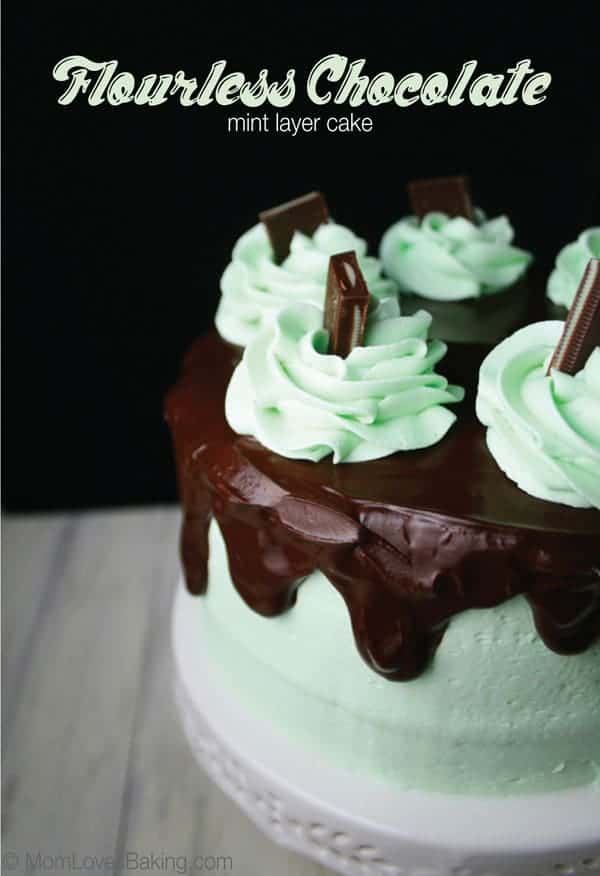 Flourless-Chocolate-Mint-Layer-Cake-2