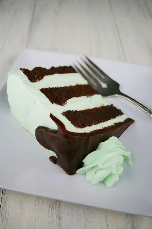 Flourless-Chocolate-Mint-Layer-Cake-Slice-1