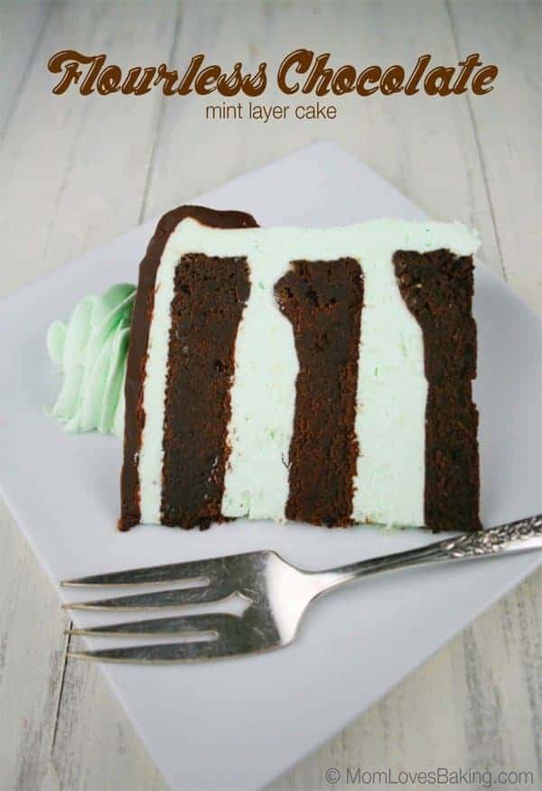 Flourless-Chocolate-Mint-Layer-Cake-Slice-2