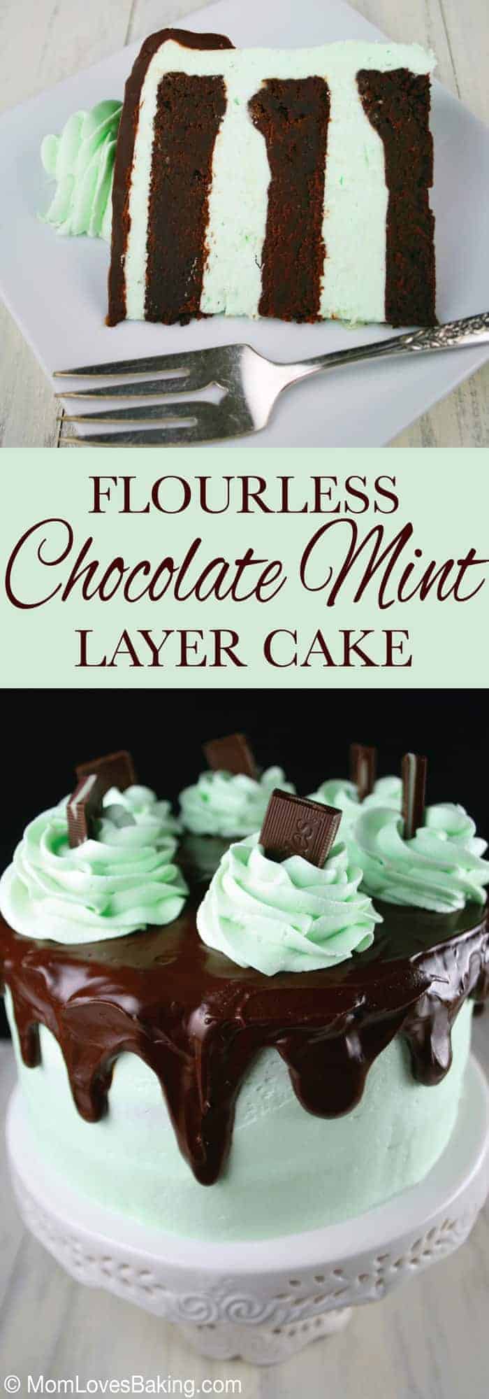 Flourless Chocolate Mint Layer Cake
