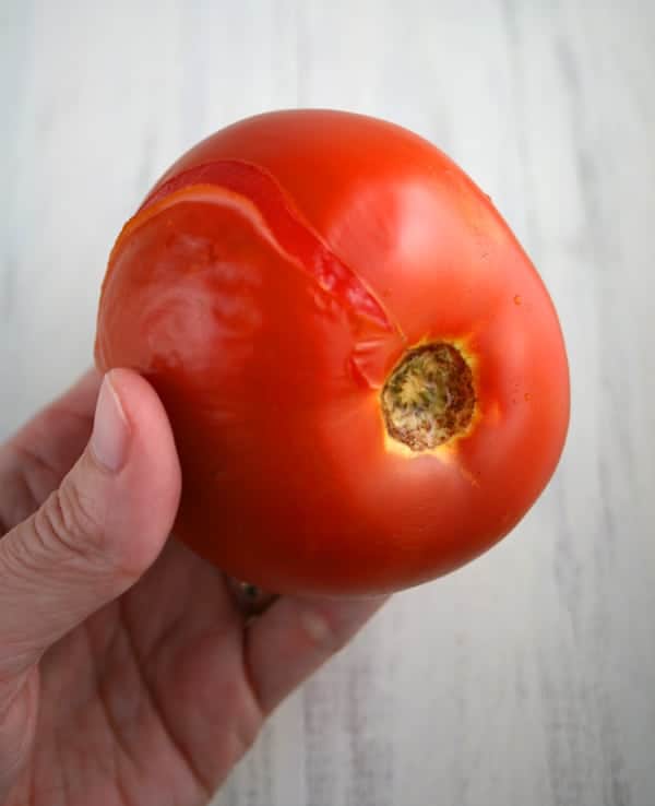 Boiled-Tomato