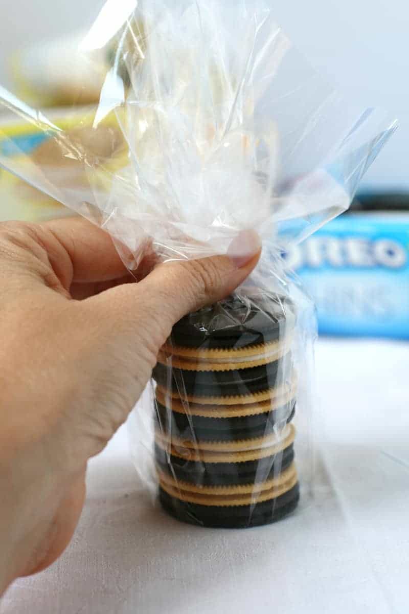 DIY-Goody-Bags-3