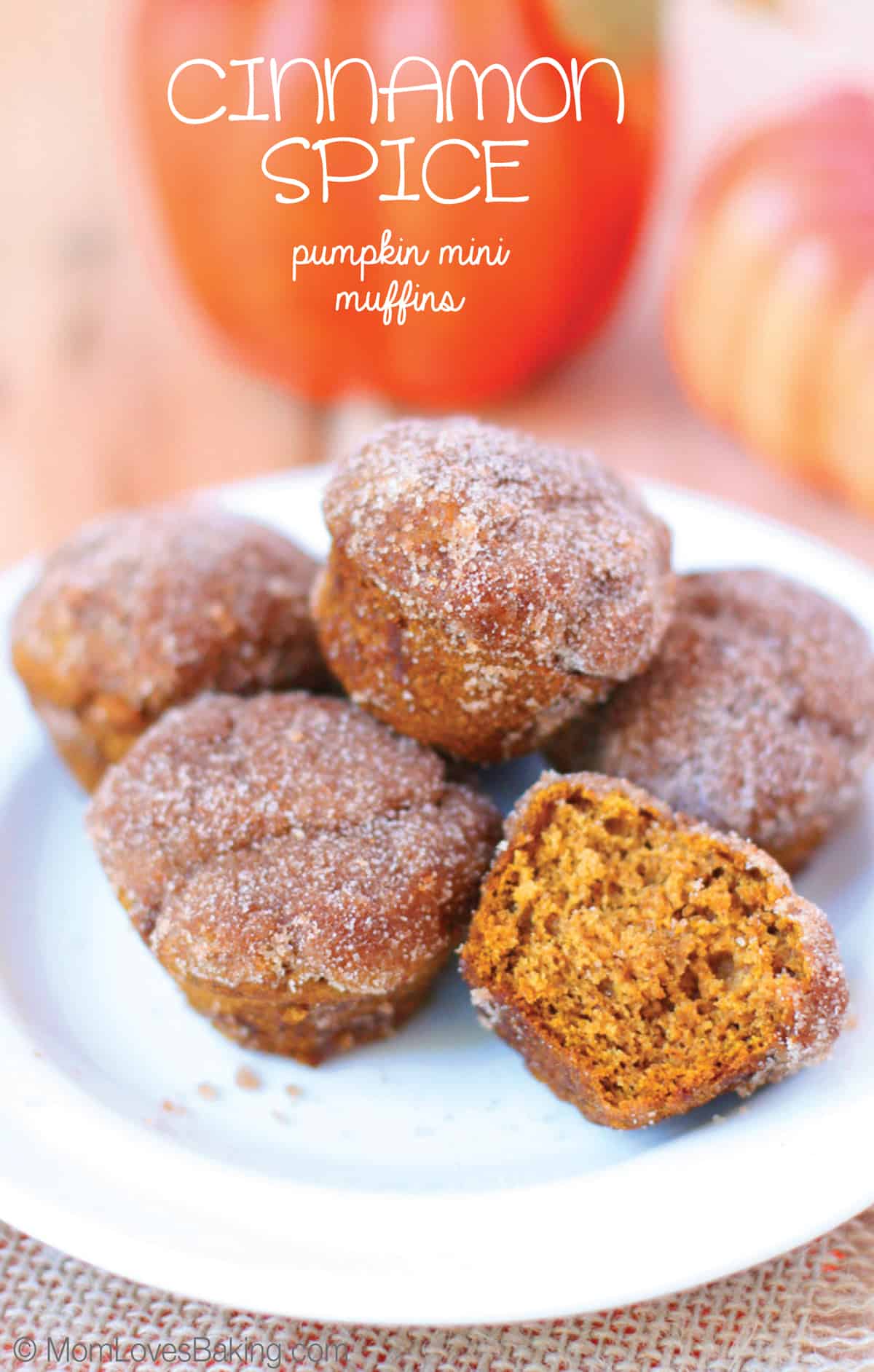 Gluten free pumpkin mini muffins