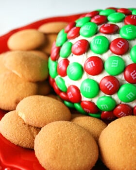 Cookie Dough Cheese Ball