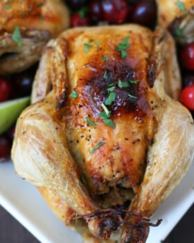 Cornish Hen with Apple Cranberry Stuffing