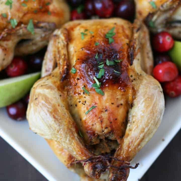 Cornish Hen with Apple Cranberry Stuffing