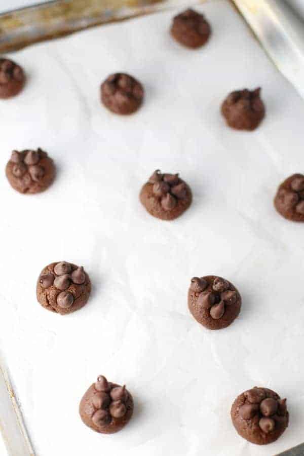 Chocolate Chocolate Chip Cookies