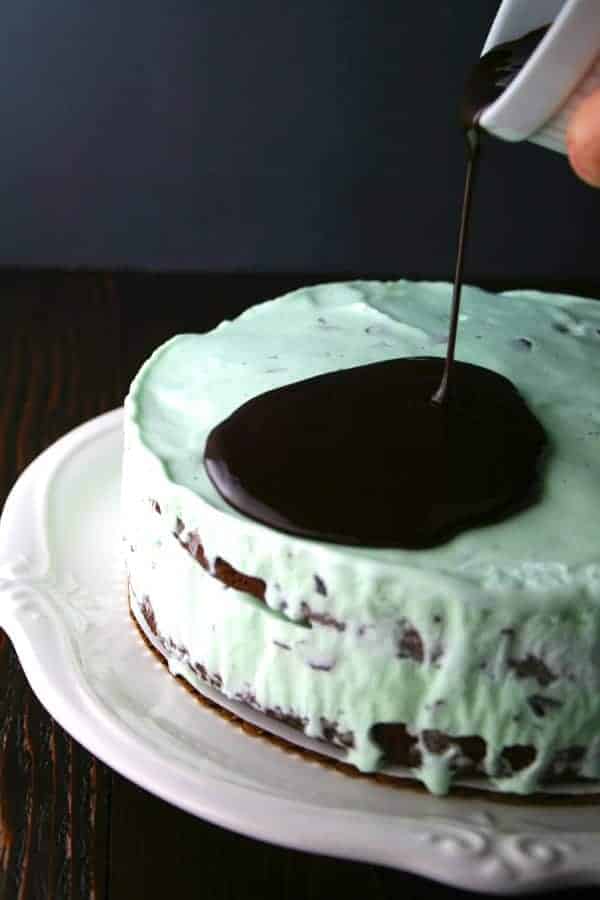 Mint Chocolate Chip Ice Cream Cake