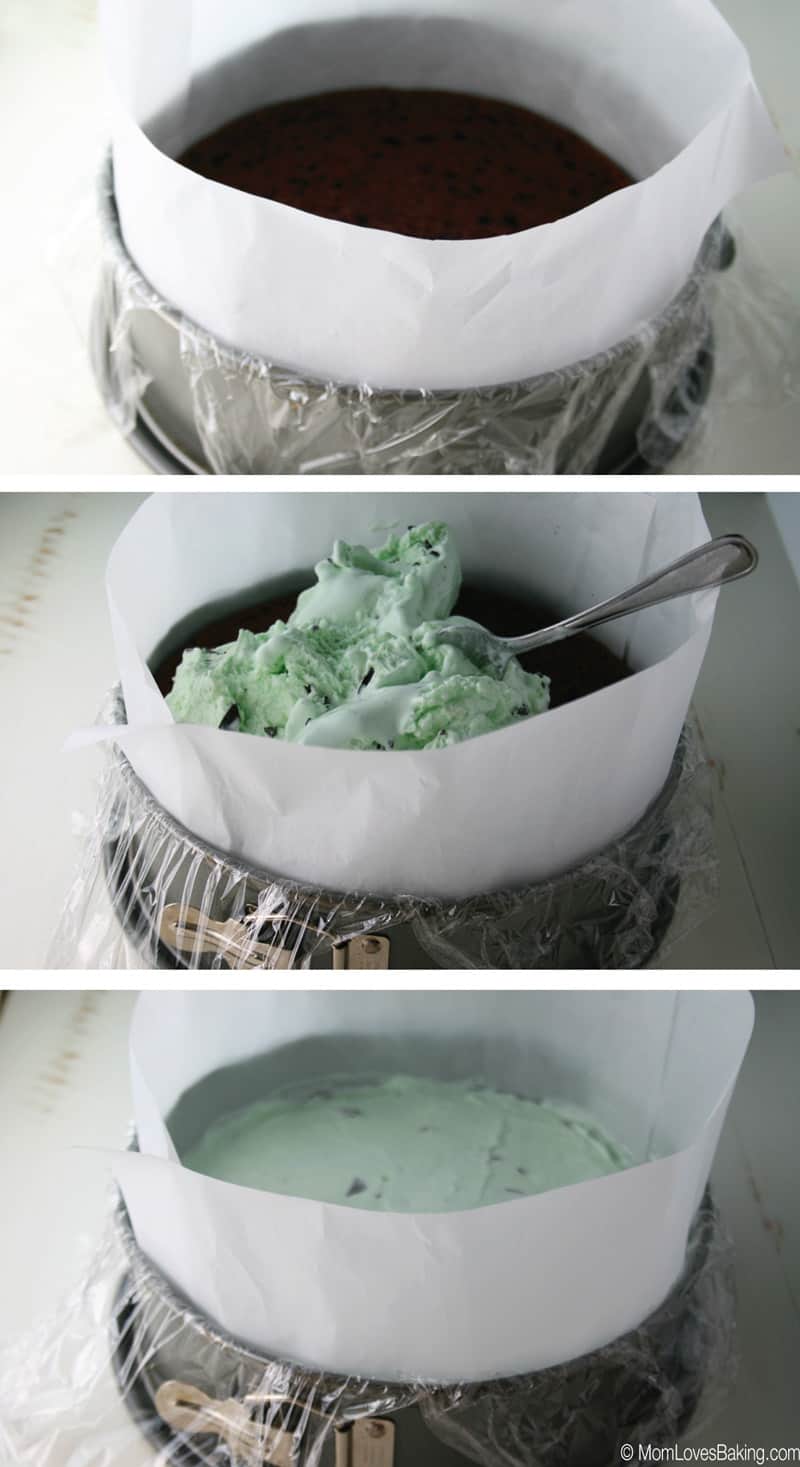 Mint Chocolate Chip Ice Cream Cake