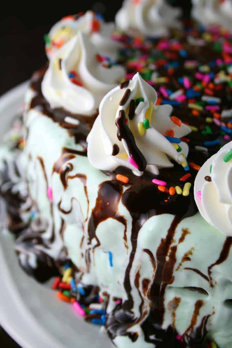 Mint Chocolate Chip Ice Cream Cake Mom Loves Baking mint-chocolate-chip-ice-cream-cake-mom-loves-baking