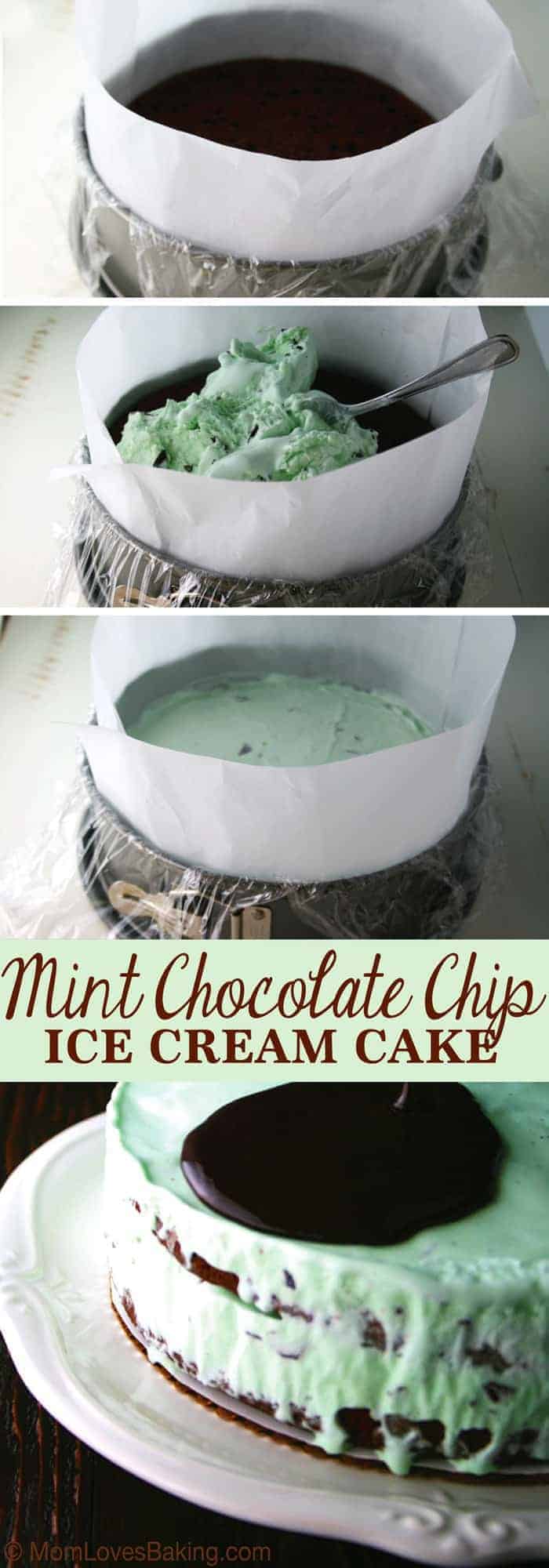 Mint Chocolate Chip Ice Cream Cake