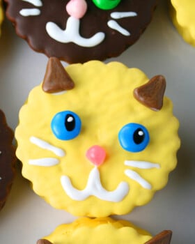 Kitty Cat Moon Pies