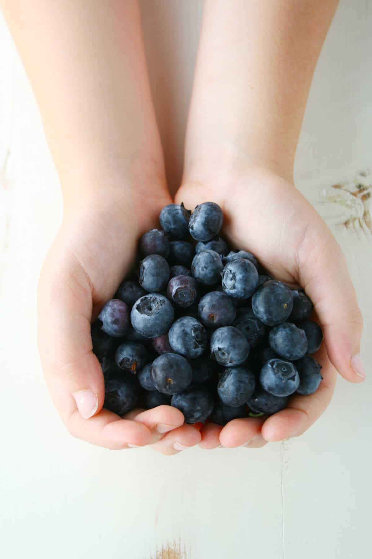 Little boy hands holding blueberries.