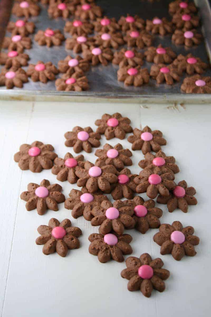 Chocolate Spritz Cookies