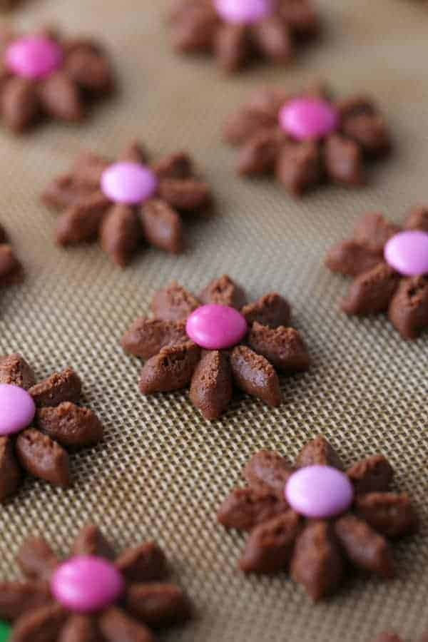 Chocolate Spritz Cookies