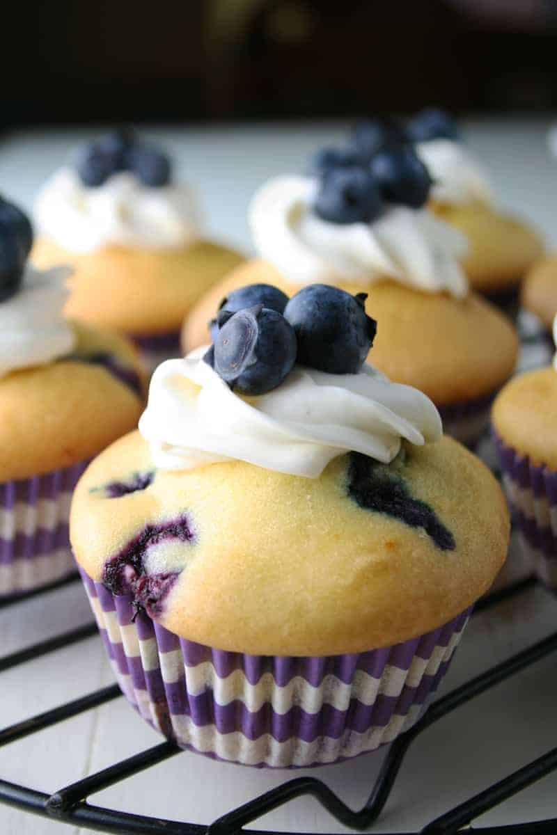 Gluten Free Blueberry Muffins