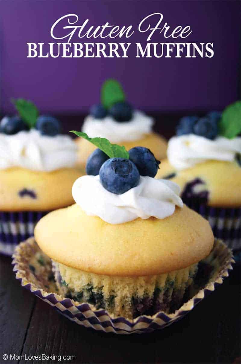 Gluten Free Blueberry Muffins