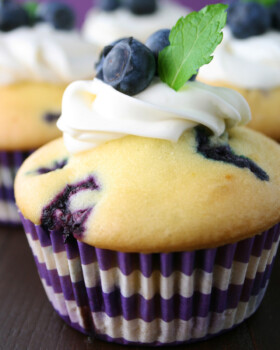 Gluten Free Blueberry Muffins
