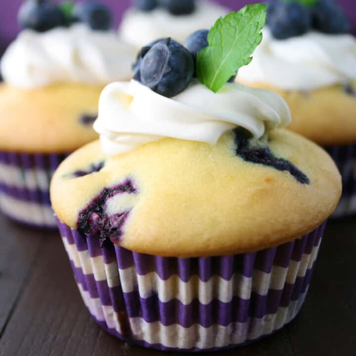 Gluten Free Blueberry Muffins