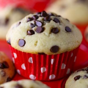 Gluten Free Chocolate Chip Muffins