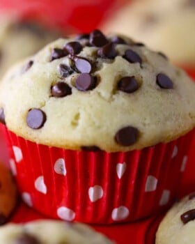 Gluten Free Chocolate Chip Muffins