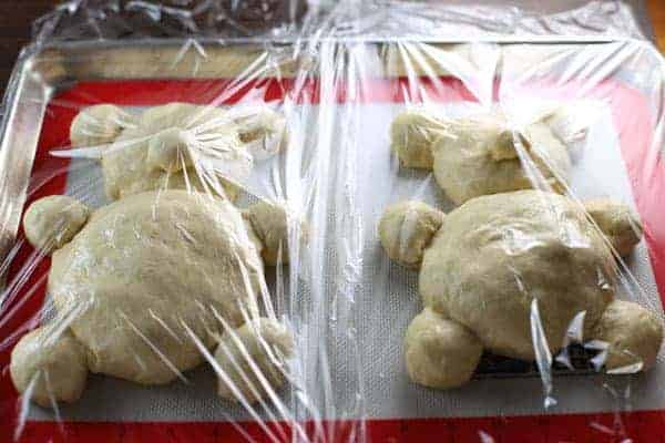 Teddy Bear Bread