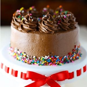 Best gluten-free dairy-free chocolate cake