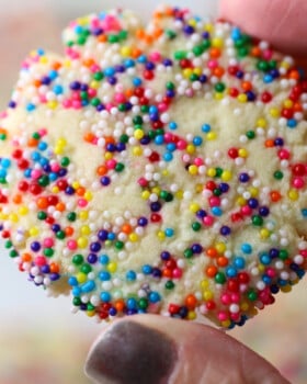 Rainbow Sprinkle Sugar Cookies