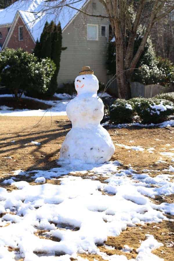 Snow in Georgia