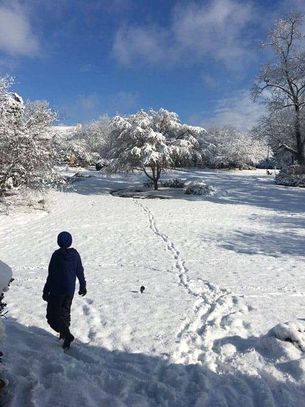 Snow in Georgia