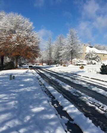 Snow in Georgia