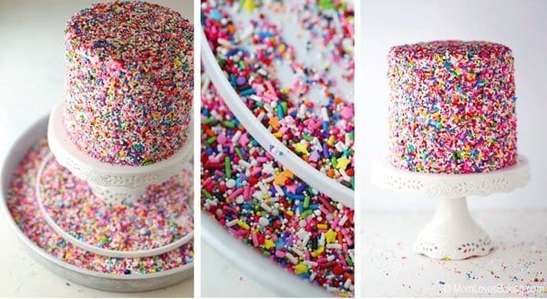 Rainbow Sprinkles Polka Dot Surprise Cake