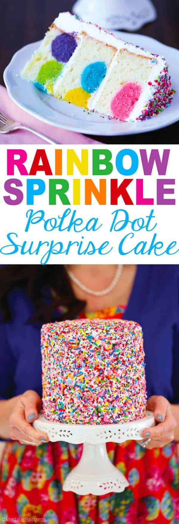 Rainbow Sprinkles Polka Dot Surprise Cake