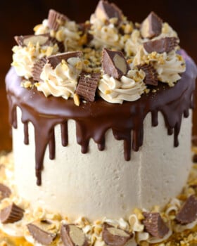 Chocolate cake with peanut butter swiss meringue buttercream frosting.
