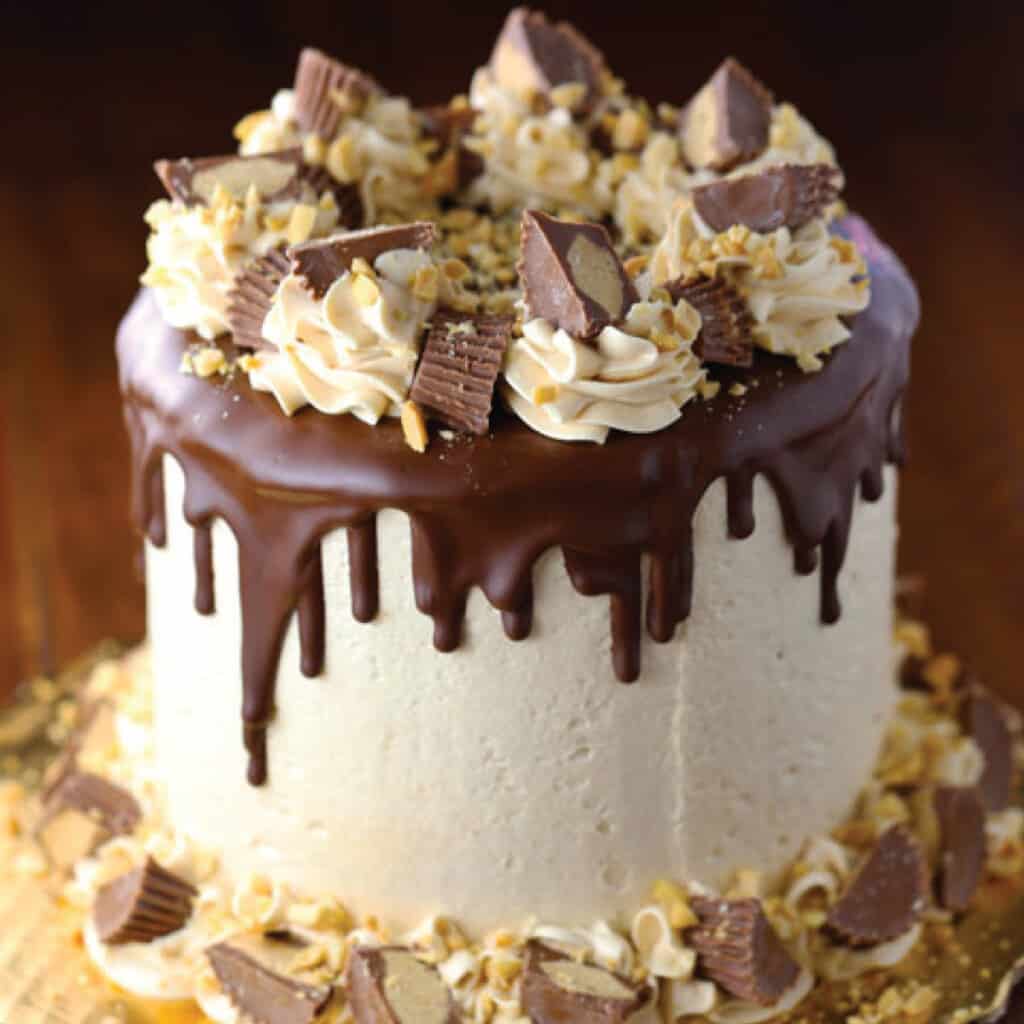 Chocolate cake with peanut butter frosting and chocolate drizzles plus reese's peanut butter cups on top.