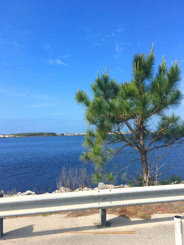 Lake at Grayton Beach Florida