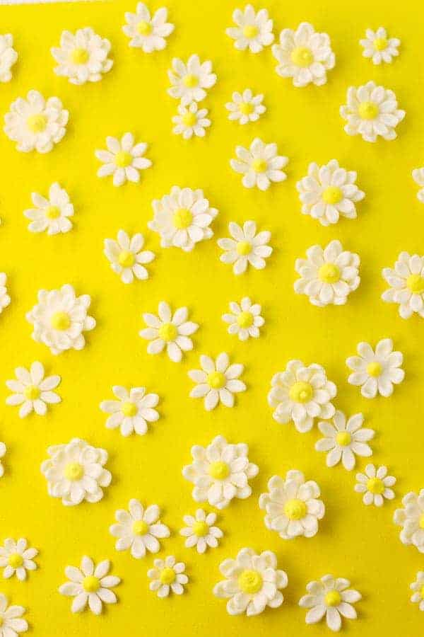 Fondant Daisies Sugar Flowers