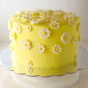 Daisy Cake with Tie Dye layers