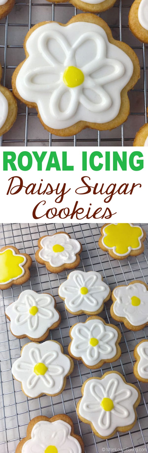 Royal Icing Daisy Sugar Cookies